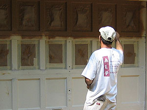 PROFESSIONAL SPRAY COATING